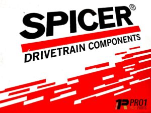 Spicer Borg Warner Diff gears