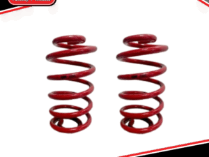 BA-FG Rear Coil Springs